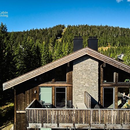 Modern Ski-In Out Apartment At Sjusjoen エクステリア 写真
